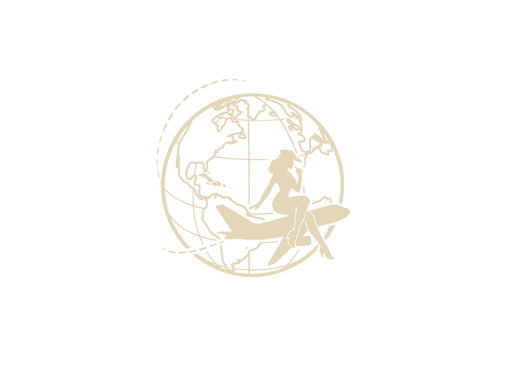 T8K Flight globe logo